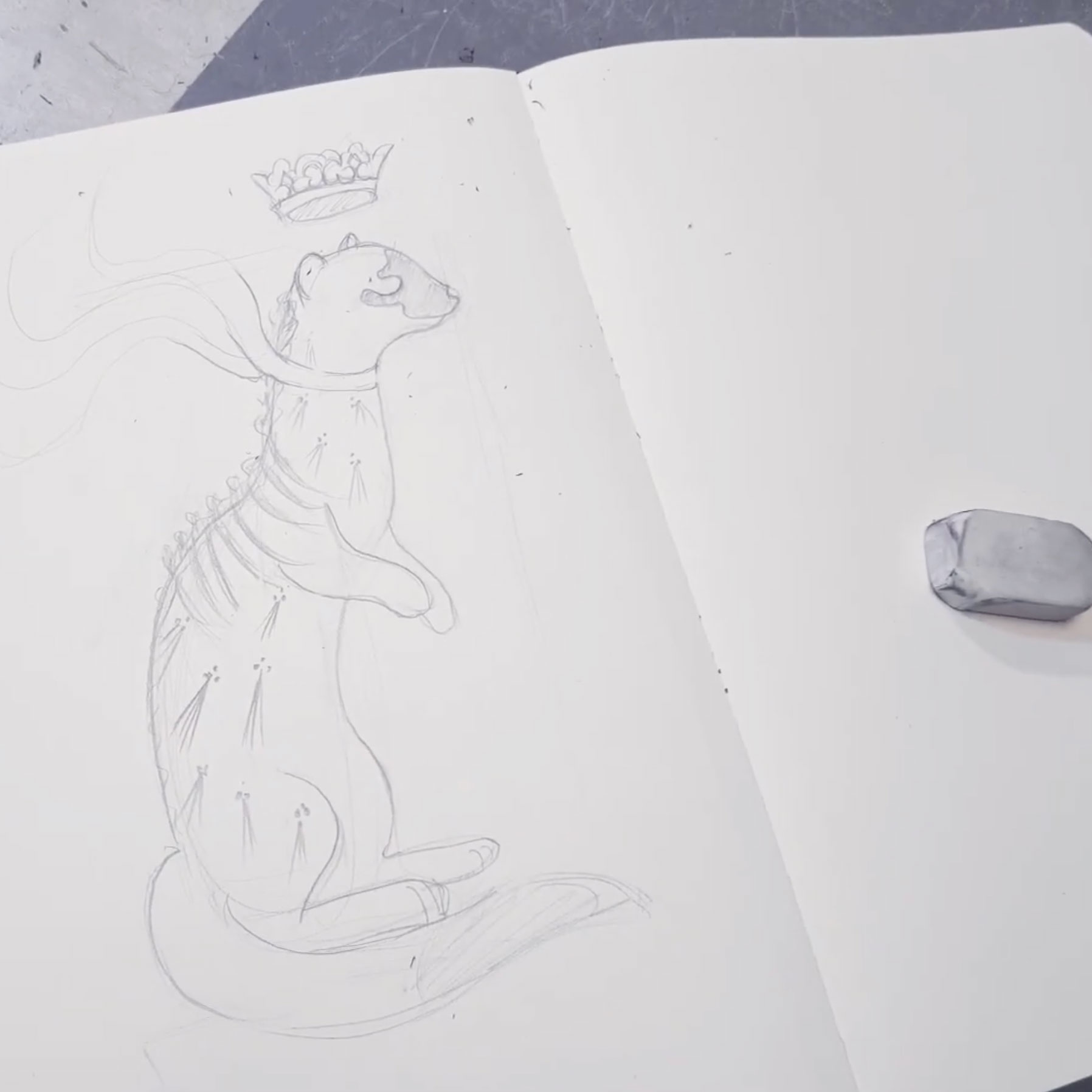 hermine-draw