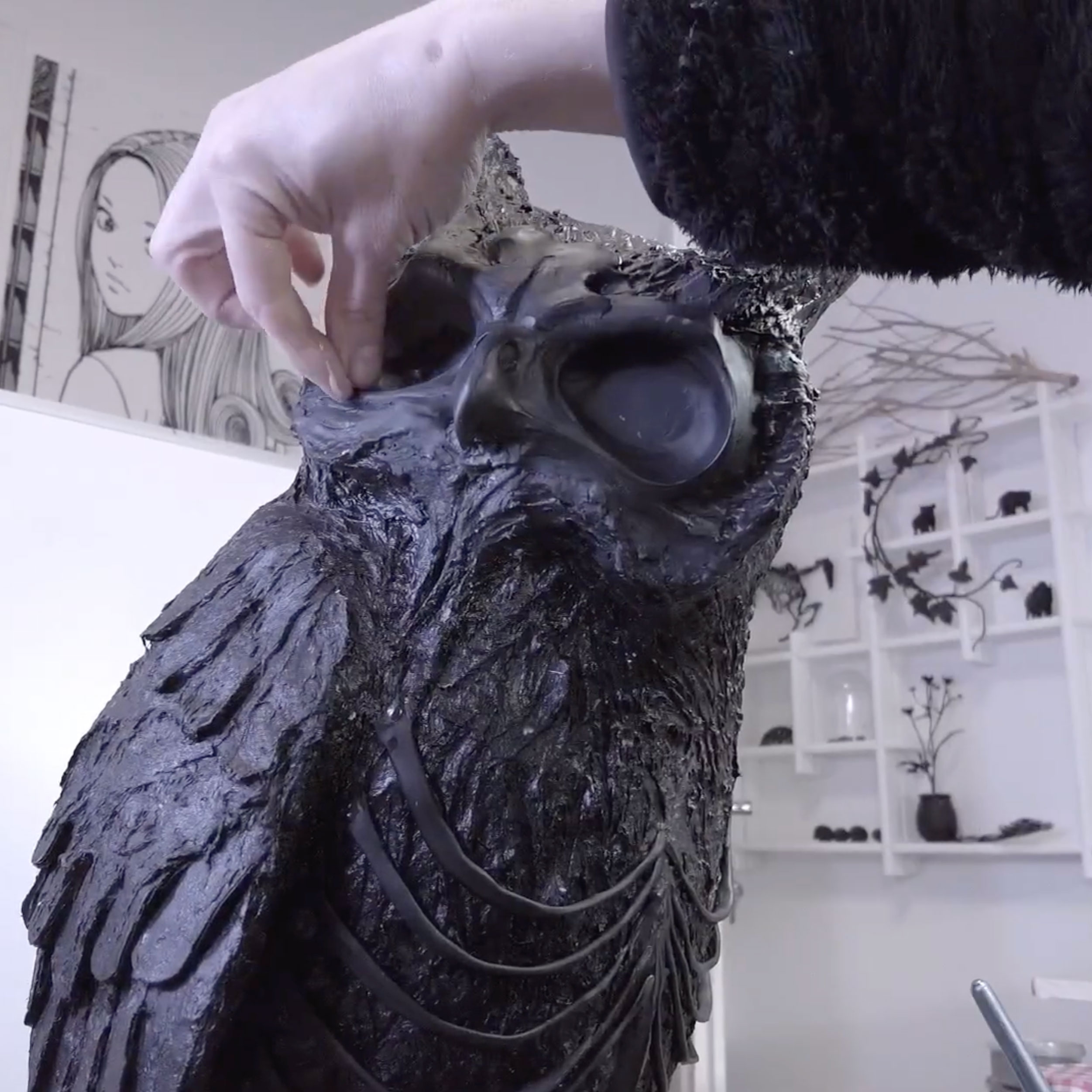 owl