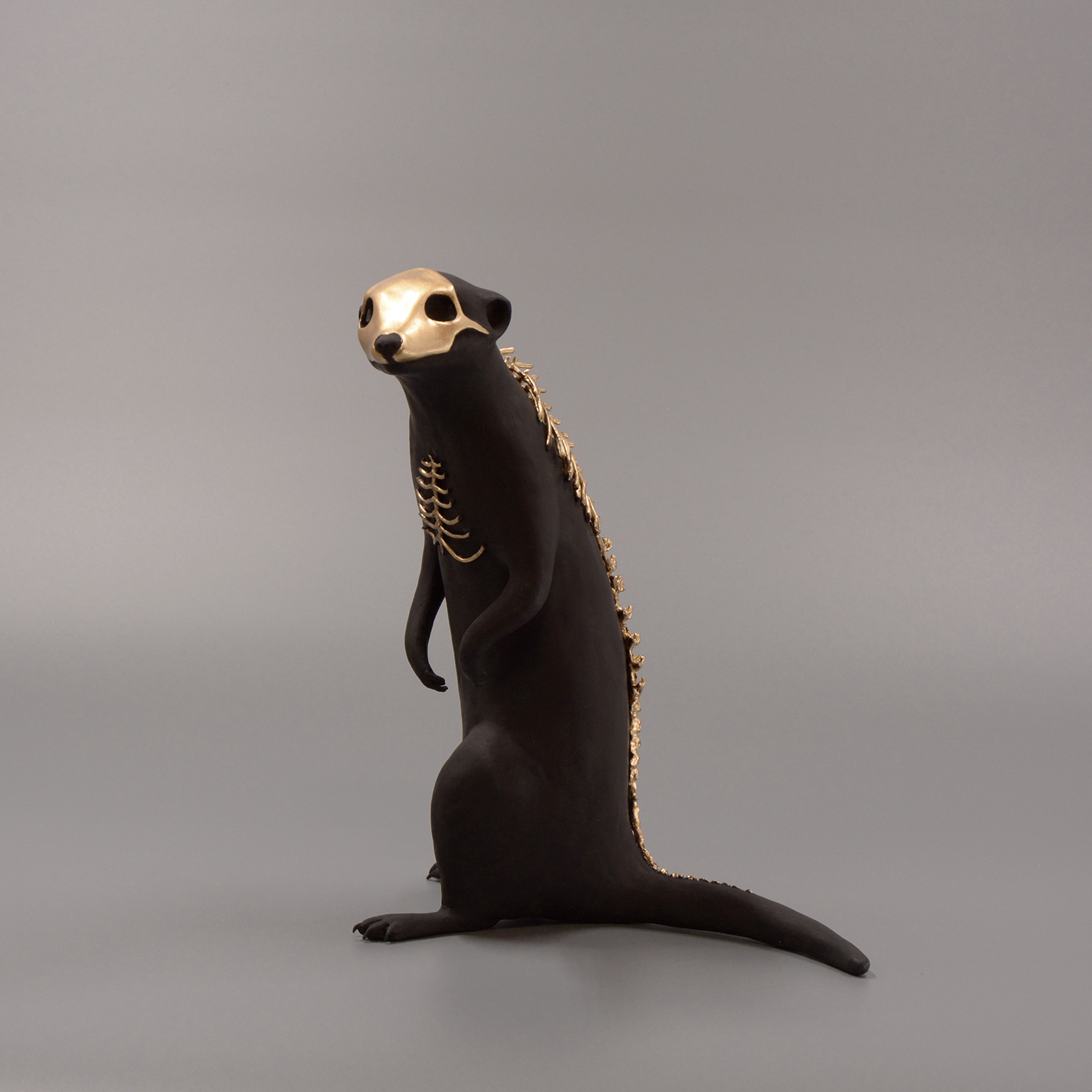 Suricate2bd